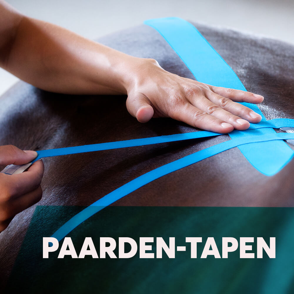 Taping tips voor paarden met VetkinTape