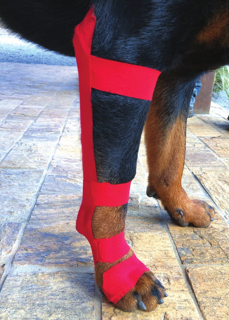 Kinesiotape bij carpale hyperextensie van een hond
