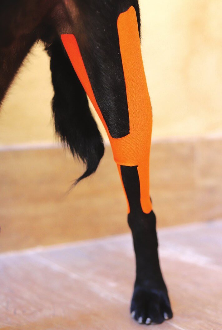 H-tape aangebracht met sterke rek, craniale weergave